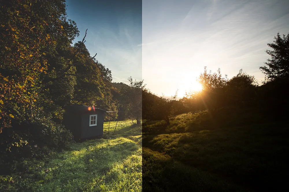 RAW vs. JPEG: Which One Should You Use? - UpYourPhotography