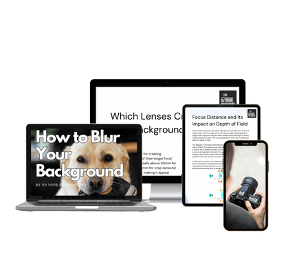 HOW TO BLUR YOUR BACKGROUND | 70% OFF! - UpYourPhotography