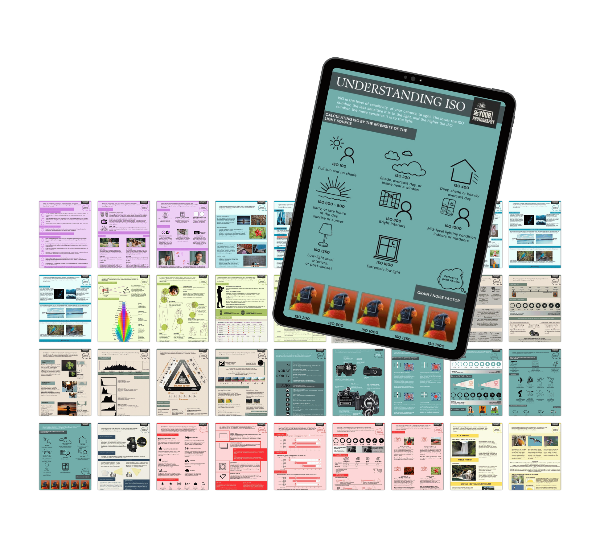 The CHEAT Cards | 80% Off! UpYourPhotography