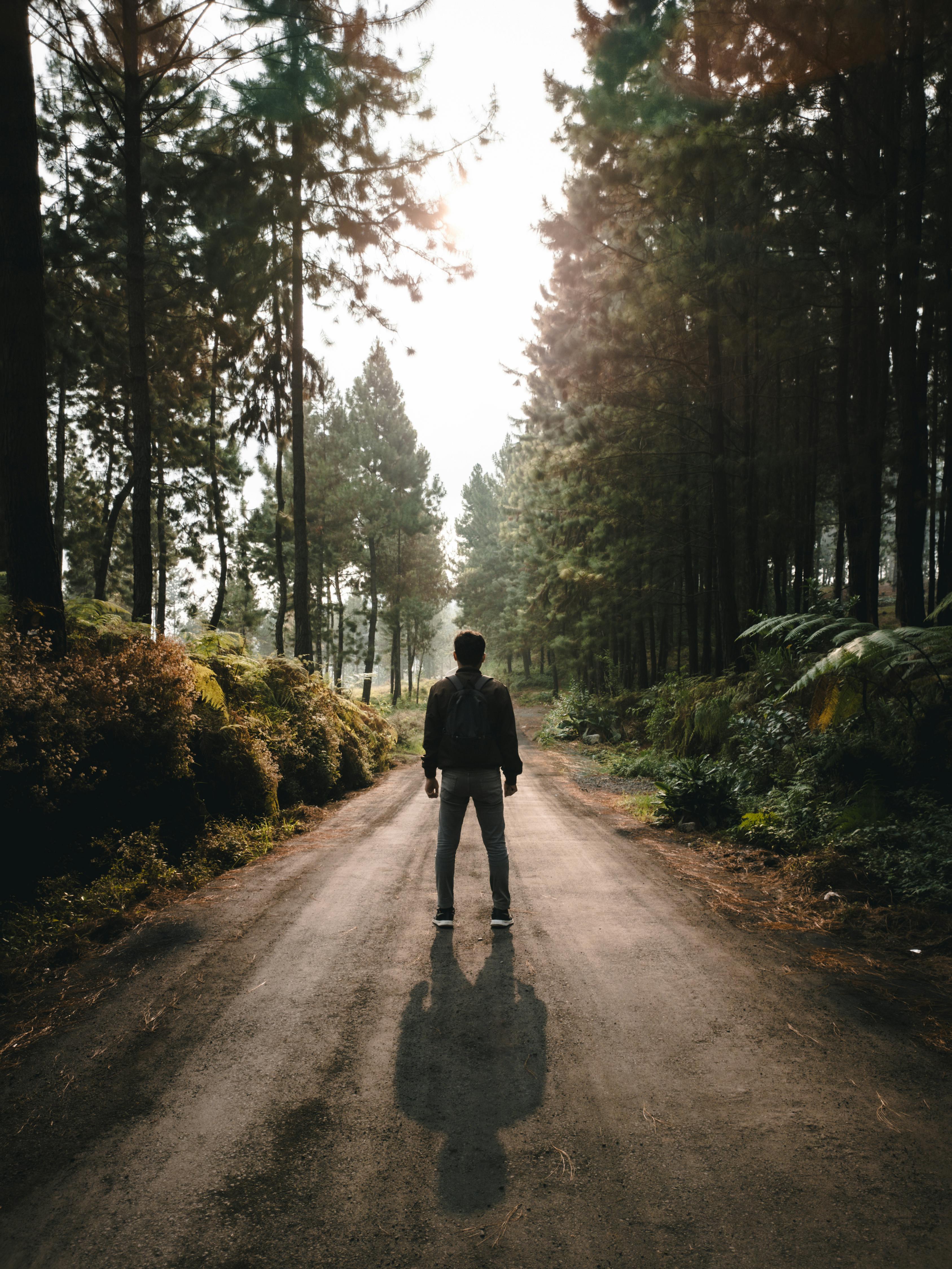 Person standing on a forest path with tall trees surrounding them, casting a long shadow from the sunlight filtering through the trees.