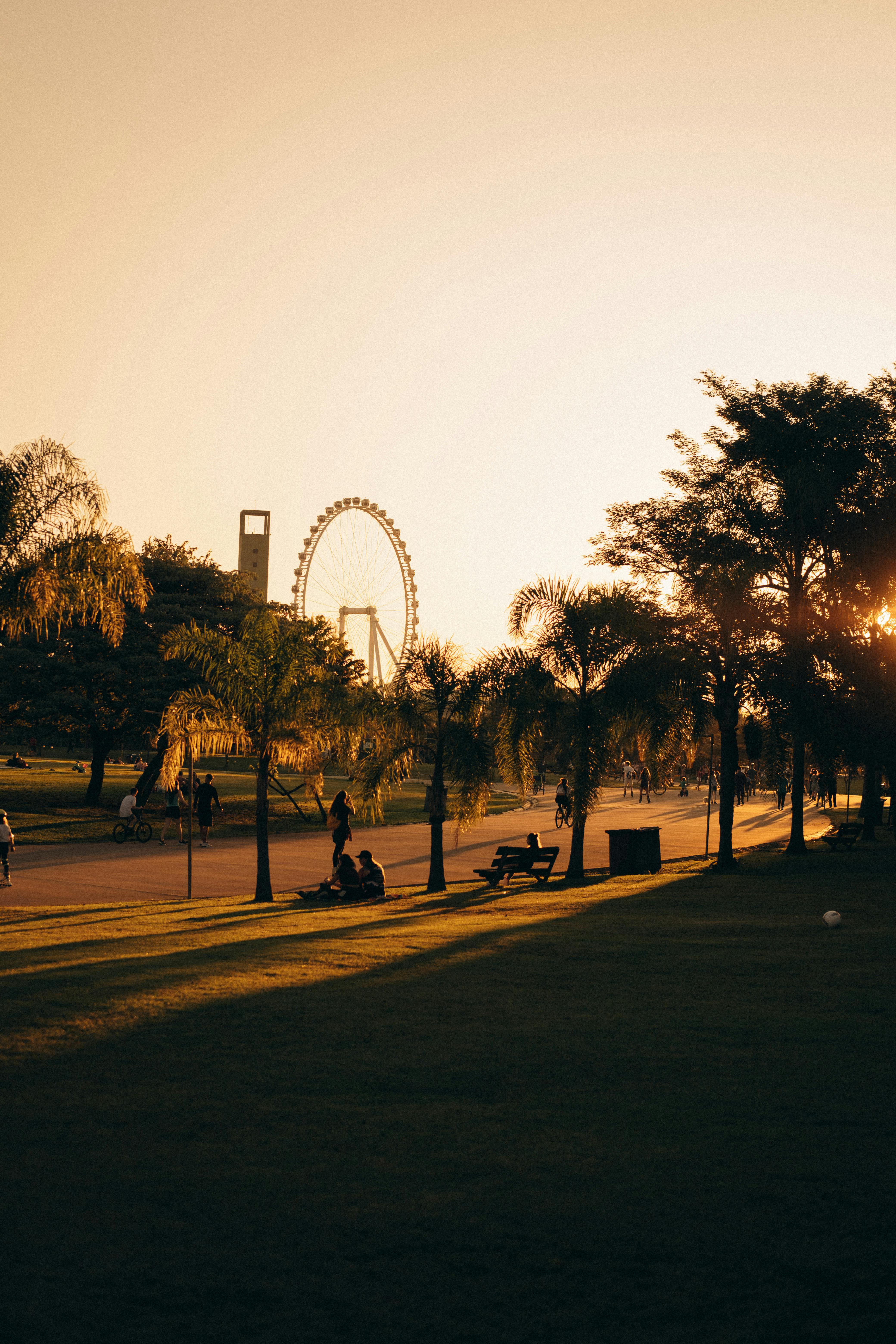 Sunset at a park with silhouetted trees and a Ferris wheel in the background, casting a warm golden glow over the scene.